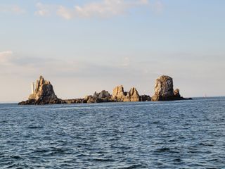 프리마인 자체 기업부설 연구소에서 찾아낸 건강한 수면의 비밀.  슬립토 플러스 30포 — 5점을 준 리뷰어가 2021년 10월 올린 사용 사진