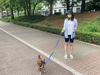 베이컨박스 [BACON] 고아웃클럽 이지그립 리드줄, 목줄 세트-BLUE — 5점을 준 리뷰어가 2021년 7월 올린 사용 사진
