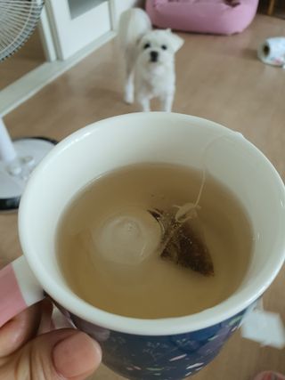 뽀오오옹님이 올린 리뷰 사진 3