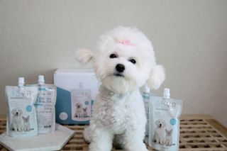비니주니맘 :D님이 올린 리뷰 사진 3