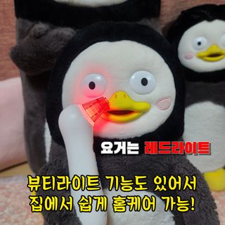 그므시라꼬님님이 올린 리뷰 사진 4