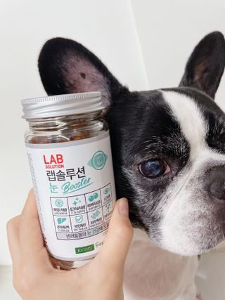 랩솔루션 강아지 영양제 3종 중 택 1 — 5점을 준 리뷰어가 2022년 6월 올린 사용 사진