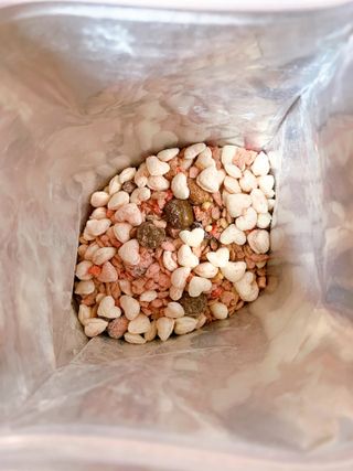 진콩콩님이 올린 리뷰 사진 2