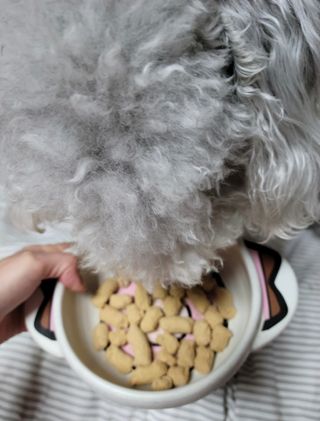 lemoniee님이 올린 리뷰 사진 2