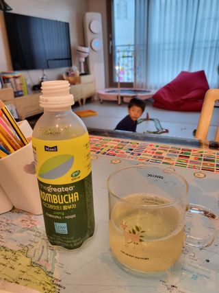 더그레잇티 콤부차 [매일유업] 더그레잇티 44kcal 콤부차 300ml *12개입 (오리지널 6개+베리리치 6개) — 5점을 준 리뷰어가 2023년 7월 올린 사용 사진