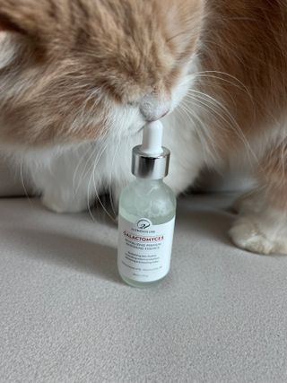 오투에니원 갈락토미세스 리바이탈라이징 프리미엄 화이트닝 에센스 50ml — 4.5점을 준 리뷰어가 2023년 2월 올린 사용 사진