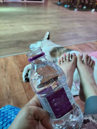 몽베스트 [MONTBEST] 330mL 20병 — 5점을 준 리뷰어가 2022년 3월 올린 사용 사진