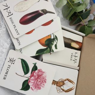 바바북스 바바 클래식 낱말카드 — 5점을 준 리뷰어가 2024년 1월 올린 사용 사진