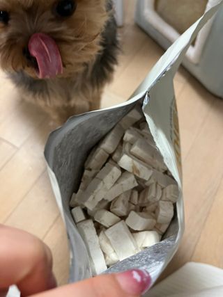 [펫시밀] 원물그대로 영양듬뿍 동결건조 왕북어트릿300g,왕치킨트릿400g,열빙어트릿300g 대용량 간식 — 5점을 준 리뷰어가 2023년 5월 올린 사용 사진