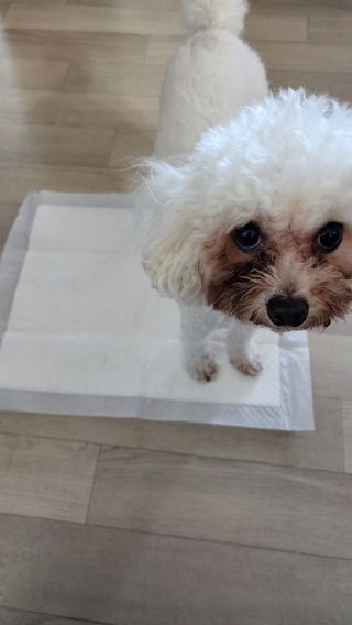햇님달님님이 올린 리뷰 사진 4