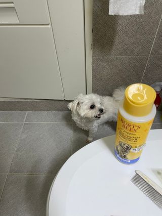 숙블리님이 올린 리뷰 사진 3