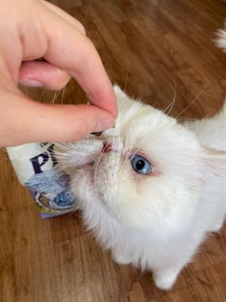 김푸딩님님이 올린 리뷰 사진 3