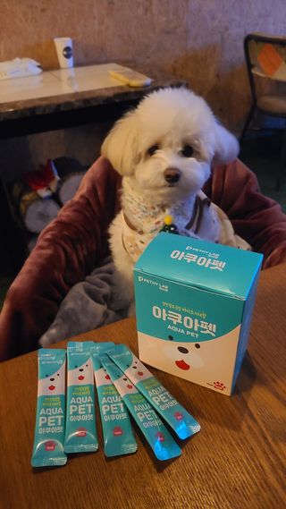 펫시랩 반려견용 액상 프리바이오틱스 아쿠아펫 — 5점을 준 리뷰어가 2021년 1월 올린 사용 사진