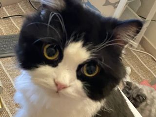 양집사님이 올린 리뷰 사진 2