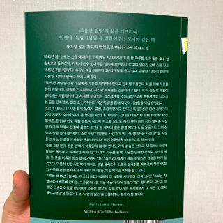 허진님이 올린 리뷰 사진 2