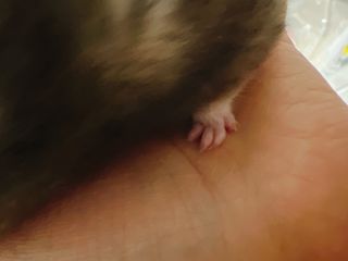 이연님이 올린 리뷰 사진 2