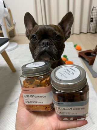 페페로니 진짜 오메가3 연어+소고기 180g+180g — 3.5점을 준 리뷰어가 2021년 7월 올린 사용 사진