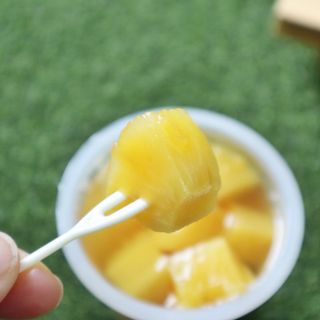 돌 MF[Dole] 파인애플컵/망고컵/복숭아컵 198g 6입X1박스 (맛 1가지 랜덤 발송) — 5점을 준 리뷰어가 2024년 5월 올린 사용 사진