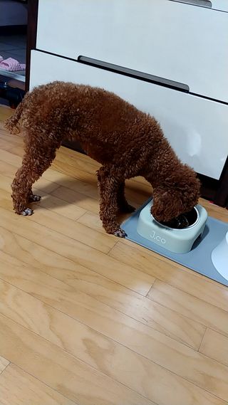 너구리양님이 올린 리뷰 사진 4