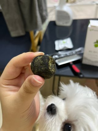 린짱님이 올린 리뷰 사진 4
