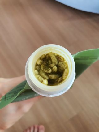 [뷰캔] 건강한 식사대용 앰퍼샌드 단백질 쉐이크 초코&말차 50g — 5점을 준 리뷰어가 2022년 6월 올린 사용 사진