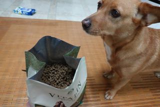 영국 바이탈린 강아지 애견사료 2kg — 5점을 준 리뷰어가 2021년 6월 올린 사용 사진