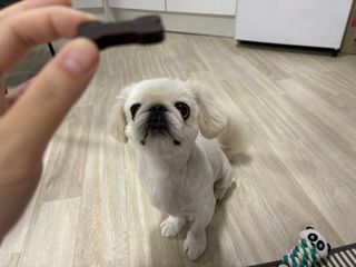 UZSU님이 올린 리뷰 사진 3
