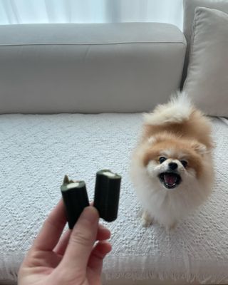 잰이님이 올린 리뷰 사진 3