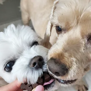쓸언니님이 올린 리뷰 사진 4