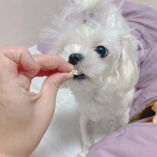 Ruru1412님이 올린 리뷰 사진 3