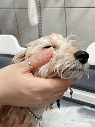 연쨩님이 올린 리뷰 사진 1
