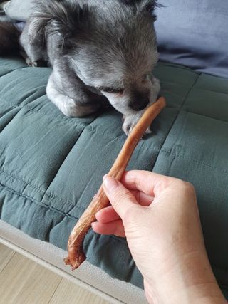 보미누나님이 올린 리뷰 사진 1