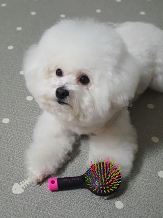 hyun♡님이 올린 리뷰 사진 1