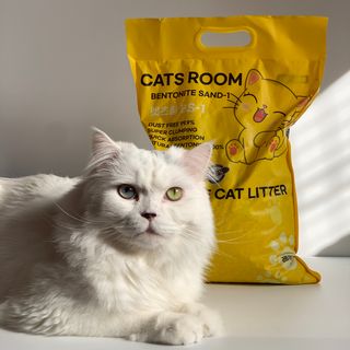 겟플렉스 켓플렉스 캣츠룸BS-1 고양이모래 4kg — 5점을 준 리뷰어가 2021년 3월 올린 사용 사진