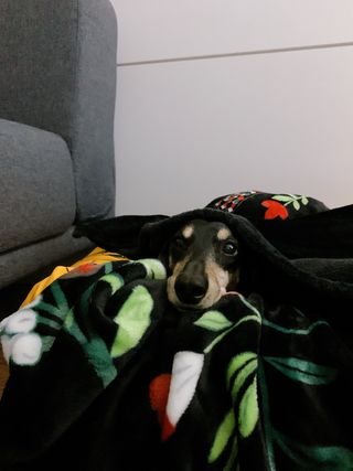 운운님이 올린 리뷰 사진 2