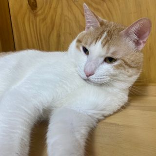 양블리님이 올린 리뷰 사진 1