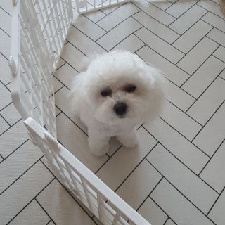 비니주니맘 :D님이 올린 리뷰 사진 3
