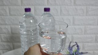 몽베스트위드어스[무라벨] 2L_6입_2Pack — 5점을 준 리뷰어가 2021년 12월 올린 사용 사진