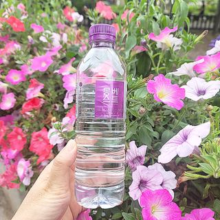 몽베스트 [MONTBEST] 500mL 20병 — 5점을 준 리뷰어가 2023년 6월 올린 사용 사진