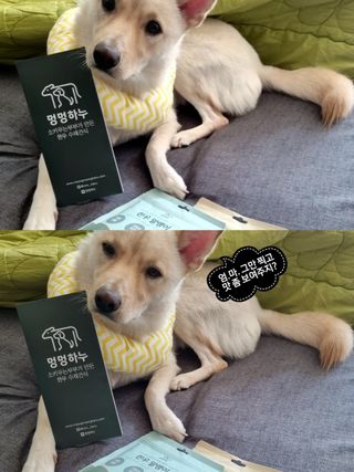 또니님이 올린 리뷰 사진 3