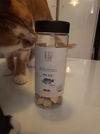 부르르펫 야미트릿 틸라피아 60g — 5점을 준 리뷰어가 2021년 11월 올린 사용 사진