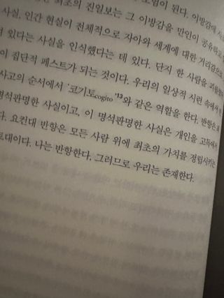 Bella님이 올린 리뷰 사진 4