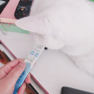 찌이님이 올린 리뷰 사진 3