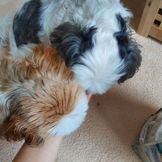 꽃단이님이 올린 리뷰 사진 3