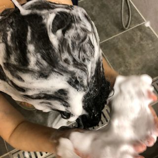 [포레스트스토리] B7 안티 헤어로스 샴푸1,000ml + 헤어팩 1,000ml — 5점을 준 리뷰어가 2021년 3월 올린 사용 사진