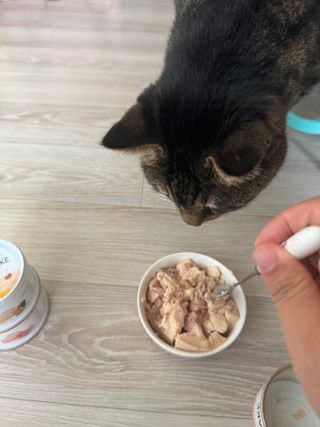 앙콩소소님이 올린 리뷰 사진 1