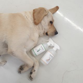 리아님이 올린 리뷰 사진 1