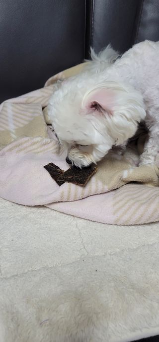 김지영님이 올린 리뷰 사진 3