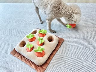 테티스님이 올린 리뷰 사진 2
