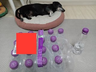 몽베스트 [MONTBEST]위드어스 500mL 20병 — 5점을 준 리뷰어가 2022년 8월 올린 사용 사진